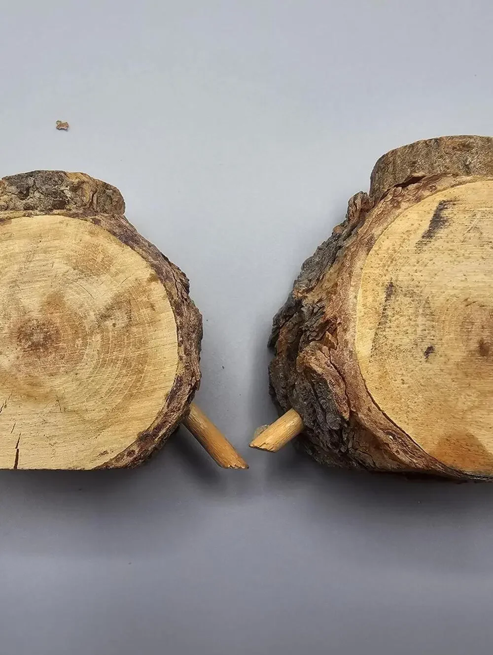 Rustic Wood Log Salt and Pepper Shakers Set